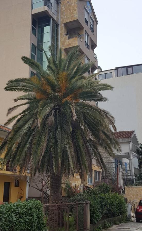 Apartman Centar Lux Budva Exterior foto